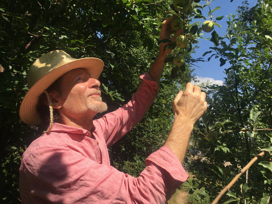 Local Families Launch Farm-to-Family Food Coop