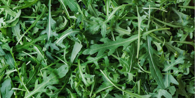 Fresh Arugula - Wondrous Farm -- one bag