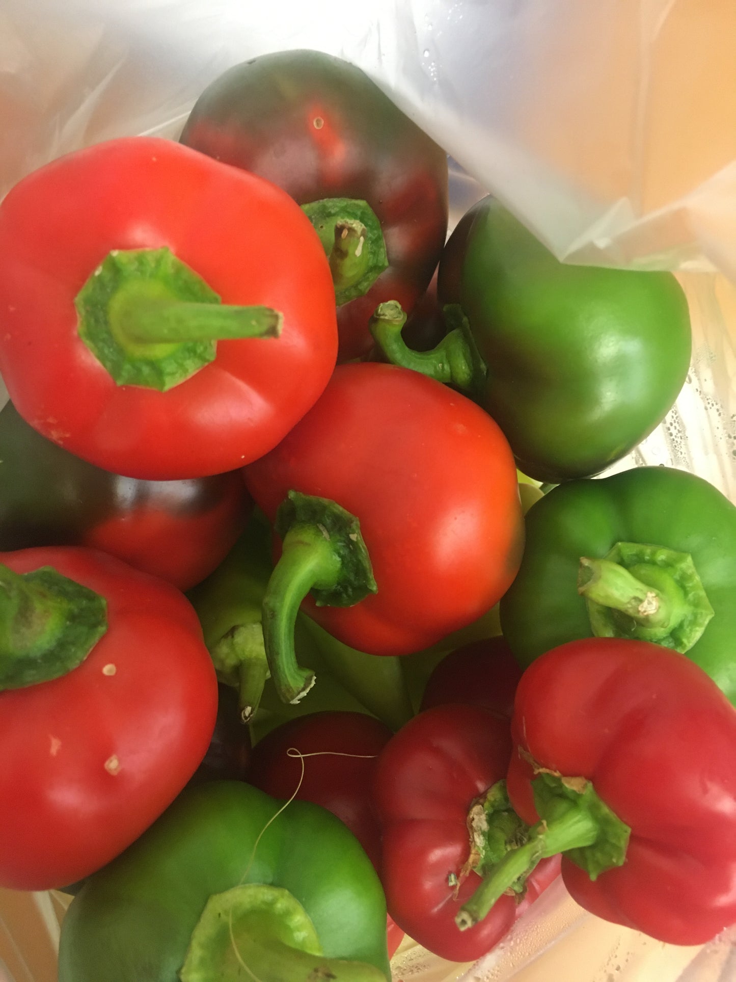 Mix of Sweet Red & Green Bell Peppers (fresh) from Mountain Prairie