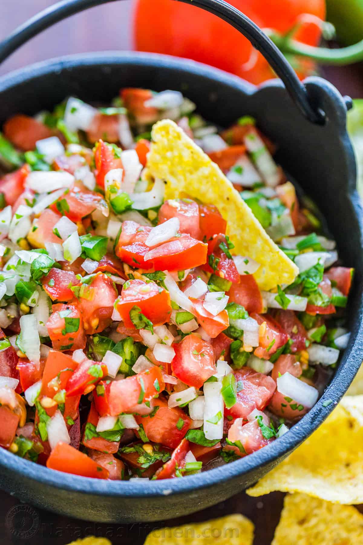 Bundle: Pico de gallo salsa kit