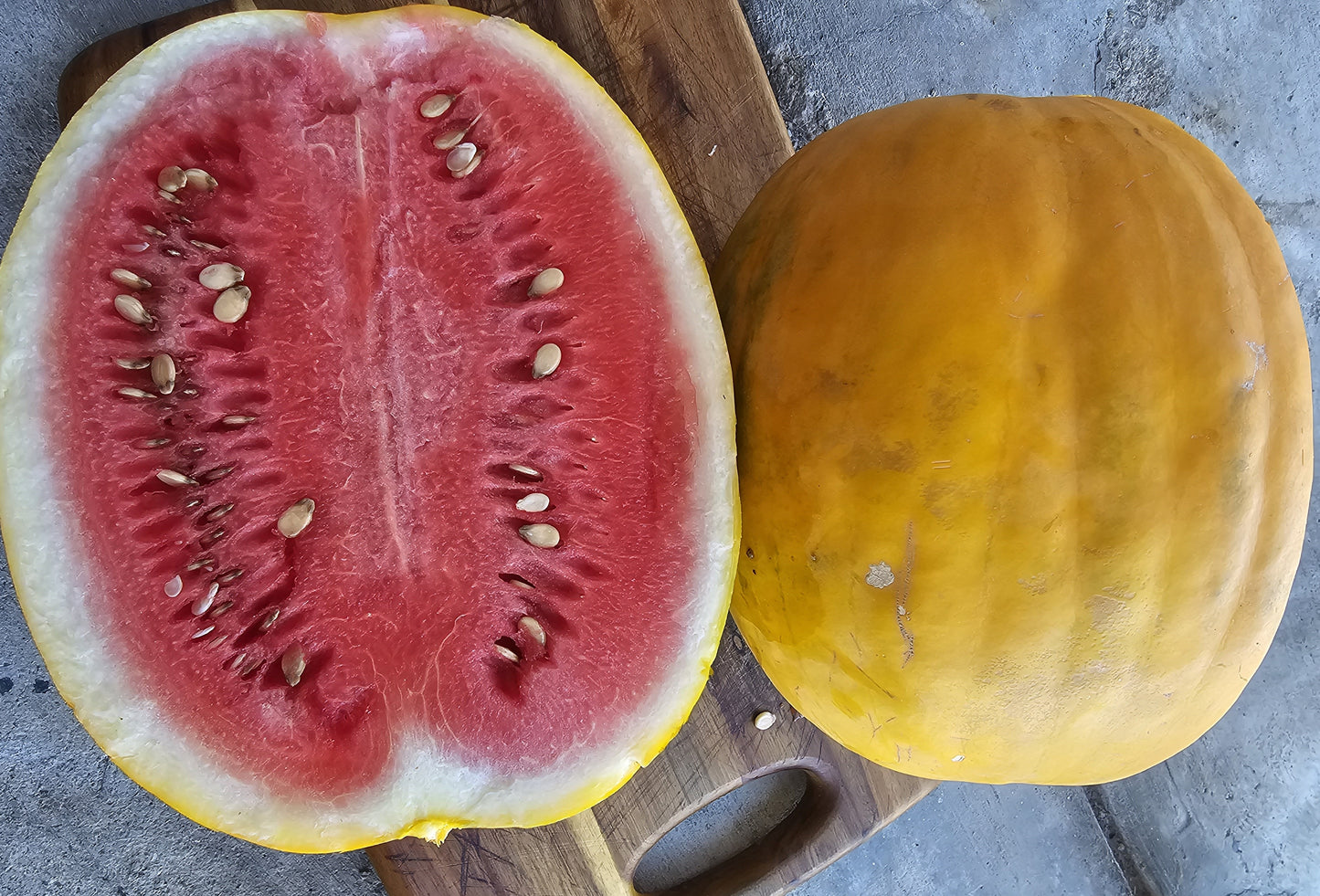 Watermelon from Wondrous Farm