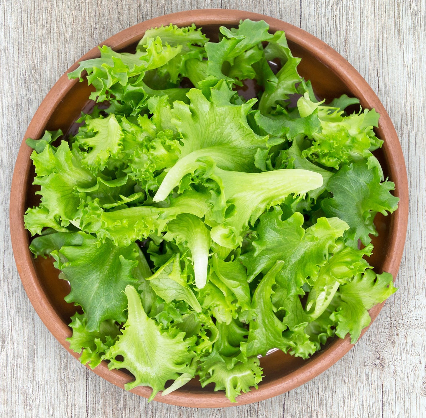 Bundle: Herb Salad Kit from Mountain Prairie