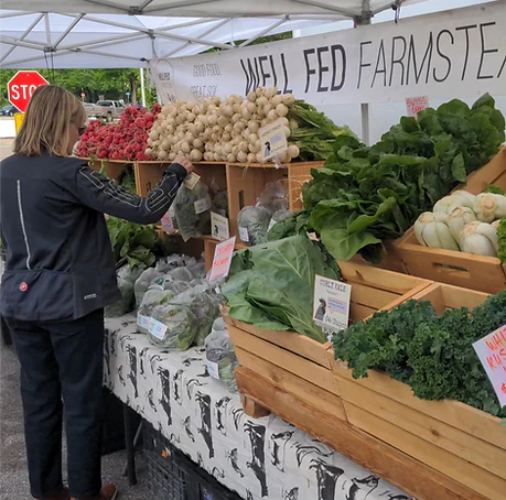 Fresh Kale from Well Fed Farmstead