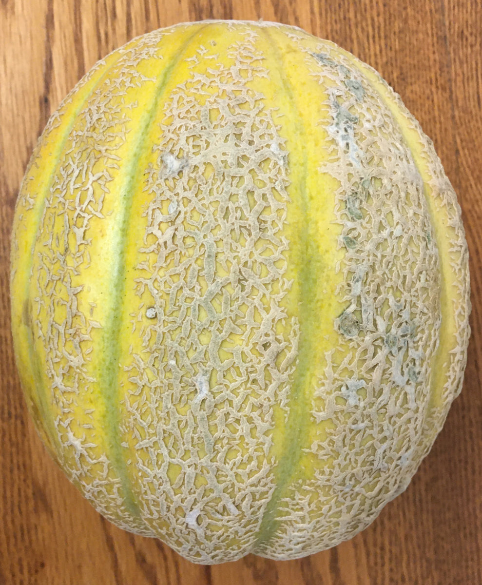 Cantaloupe from Wondrous Farm
