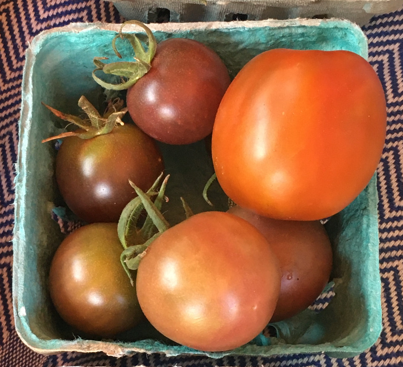 Cherry Tomatoes - Mountain Prairie -- one basket