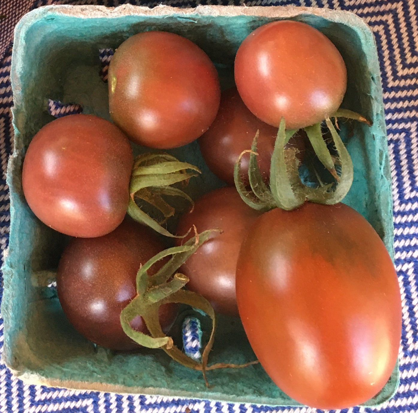 Cherry Tomatoes - Mountain Prairie -- one basket