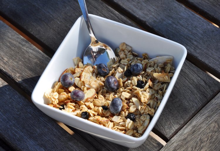 Granola - Wild Blueberry Vanilla -- 11oz