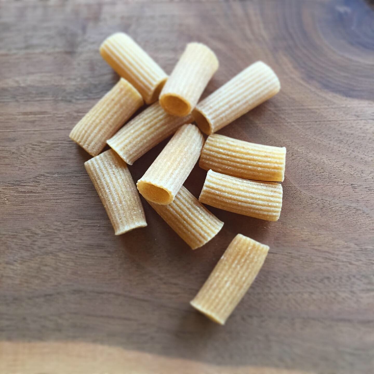 Pasta - Rigatoni -- 16oz