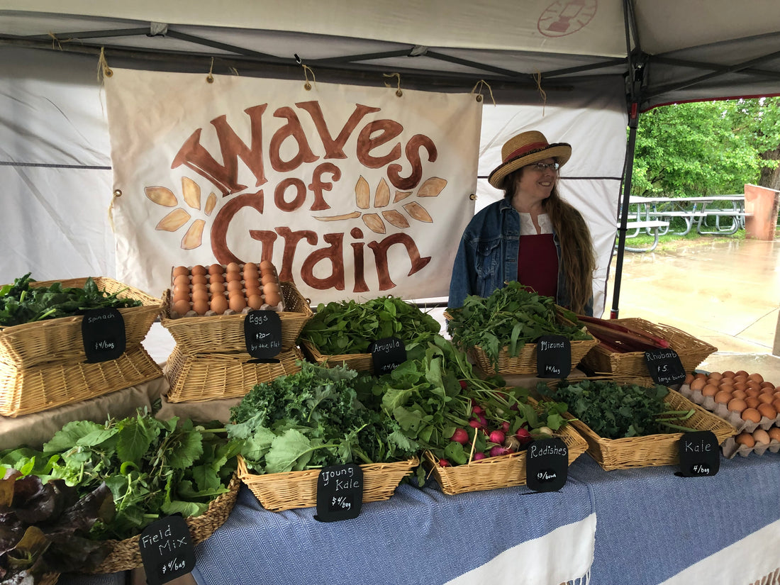 The Role of Waves of Grain in the greater Front Range Local Food System