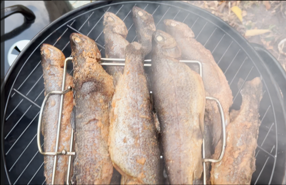 Smoking the Trout