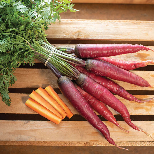 Red Dragon Carrots from Rough & Ready Farm