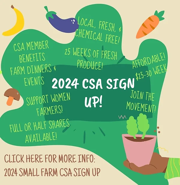 2024 Move Mountains CSA -- veggie box 25 weeks