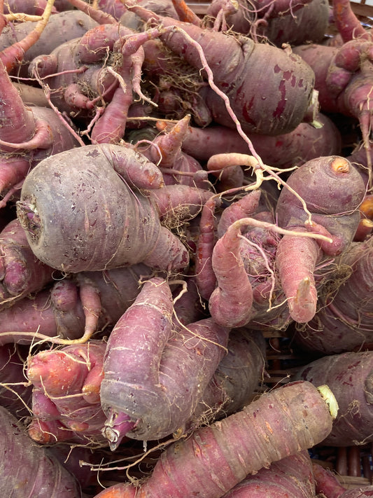 Funny-Looking Purple Carrots