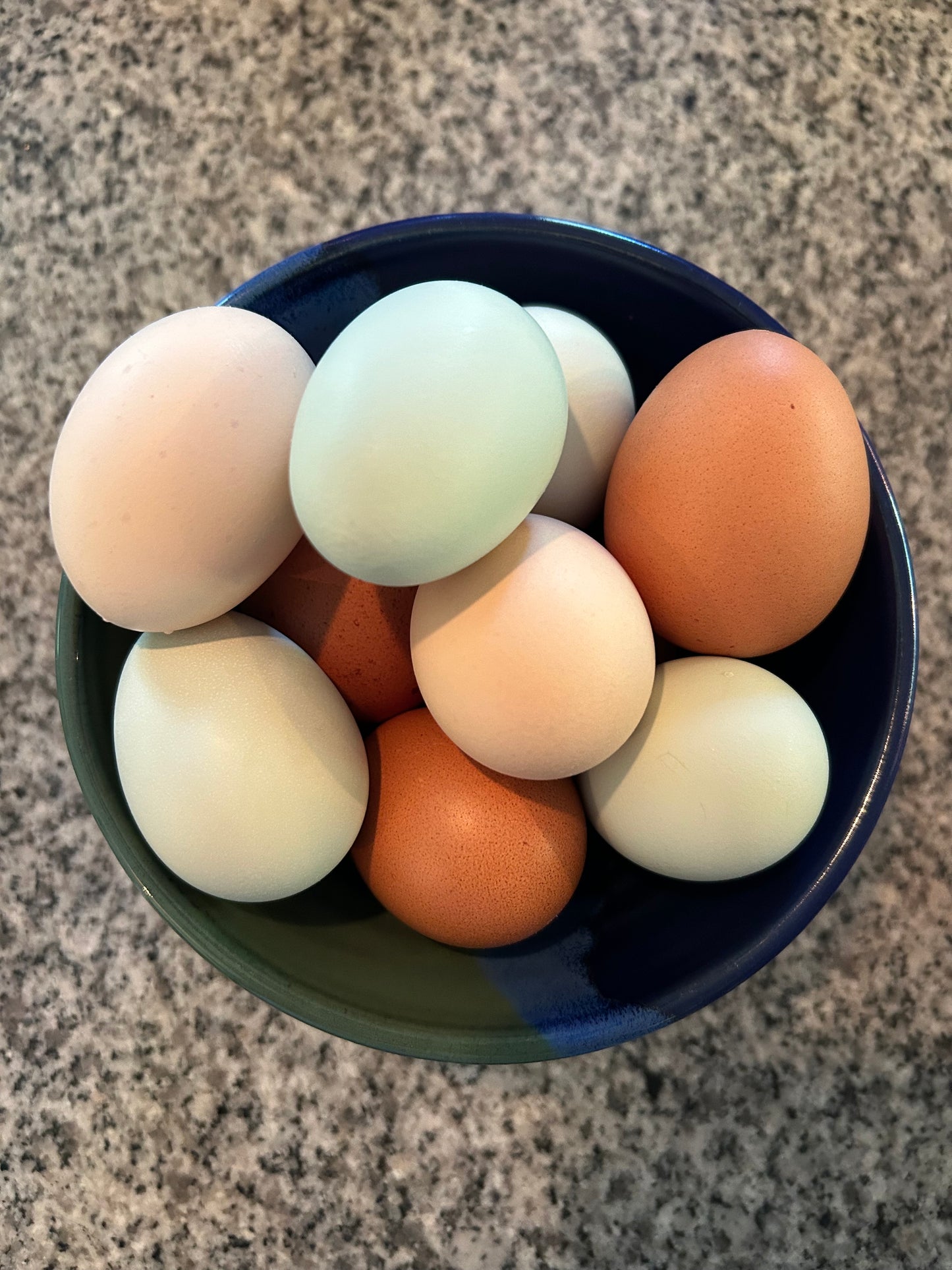 Pasture-Raised Organic Eggs -- one dozen