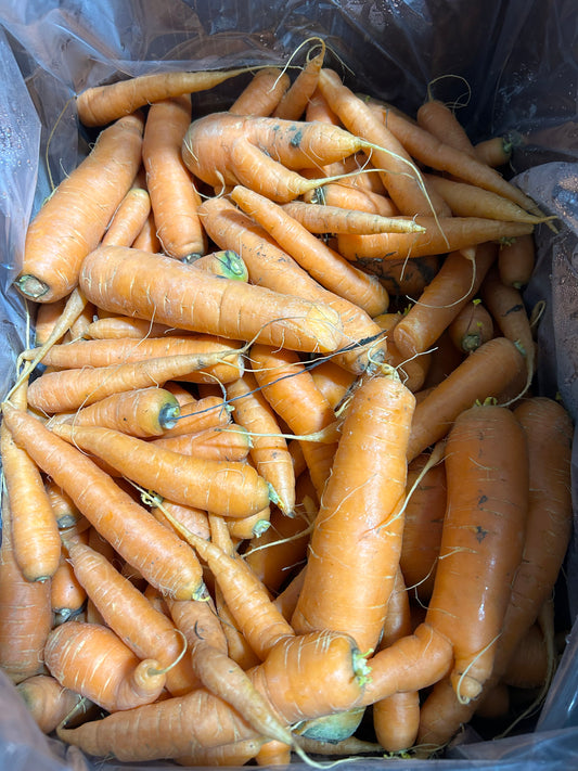 Orange Carrots ON SALE NOW!!!