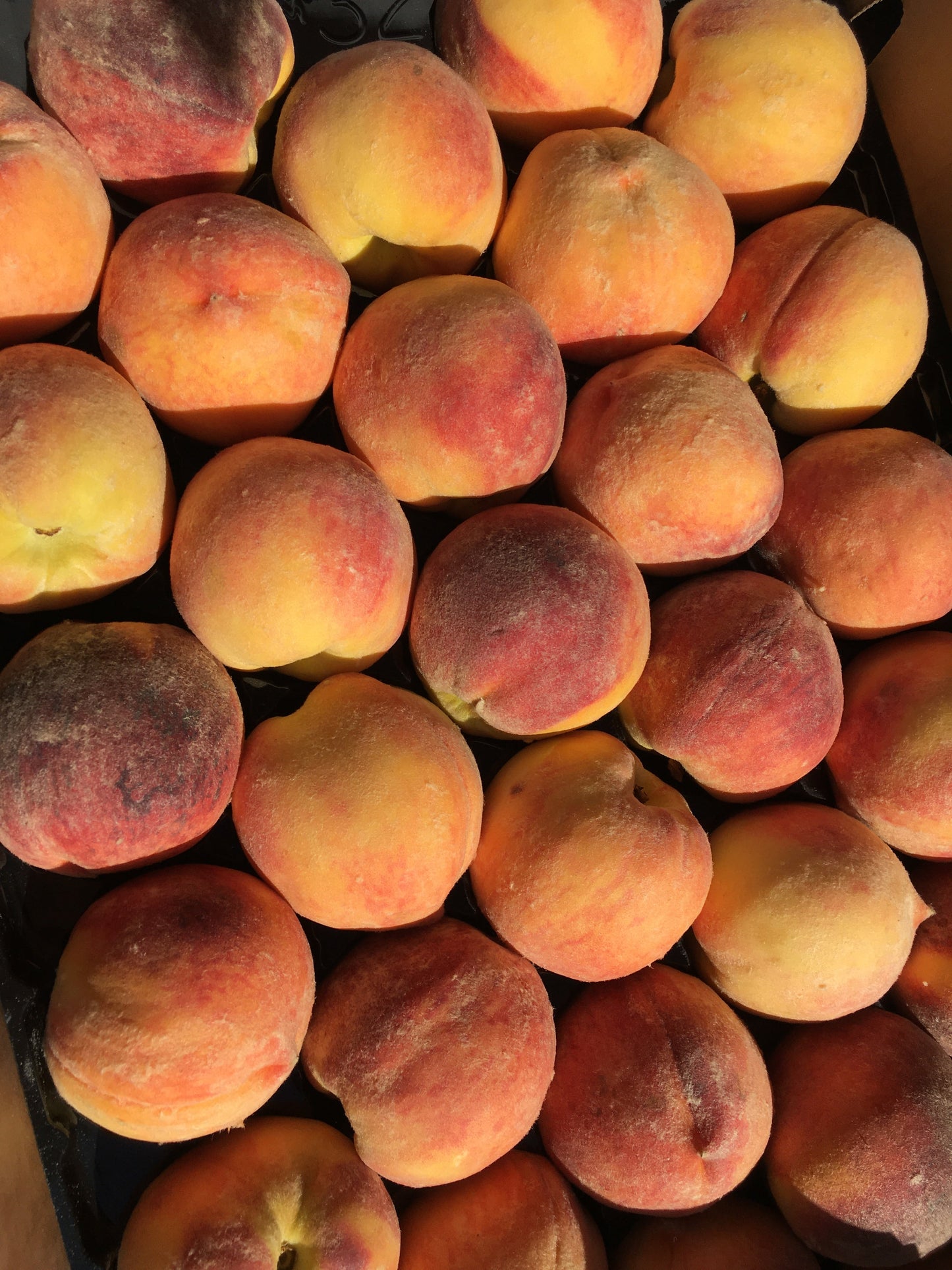 Organic Colorado Peaches, by the half box