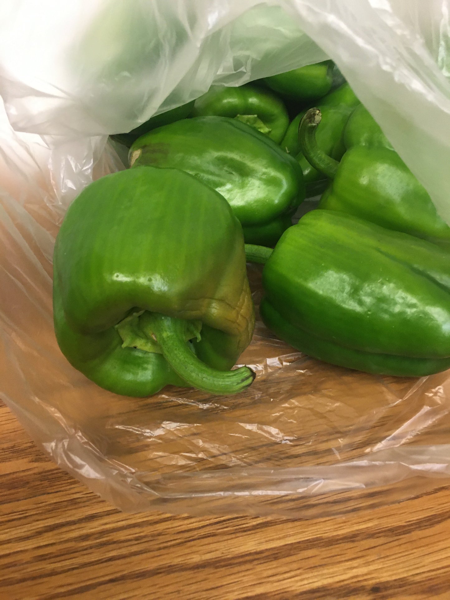 Green Bell Peppers (fresh) from Mountain Prairie