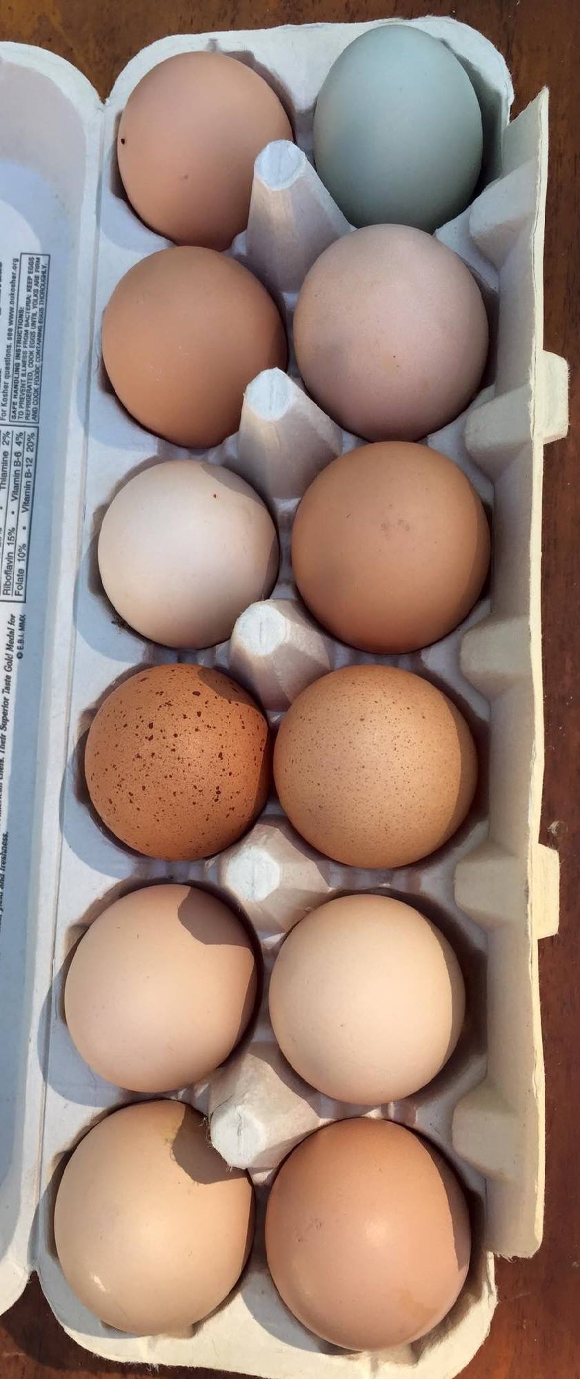 Organic Eggs -- one dozen Jacob Springs Farm