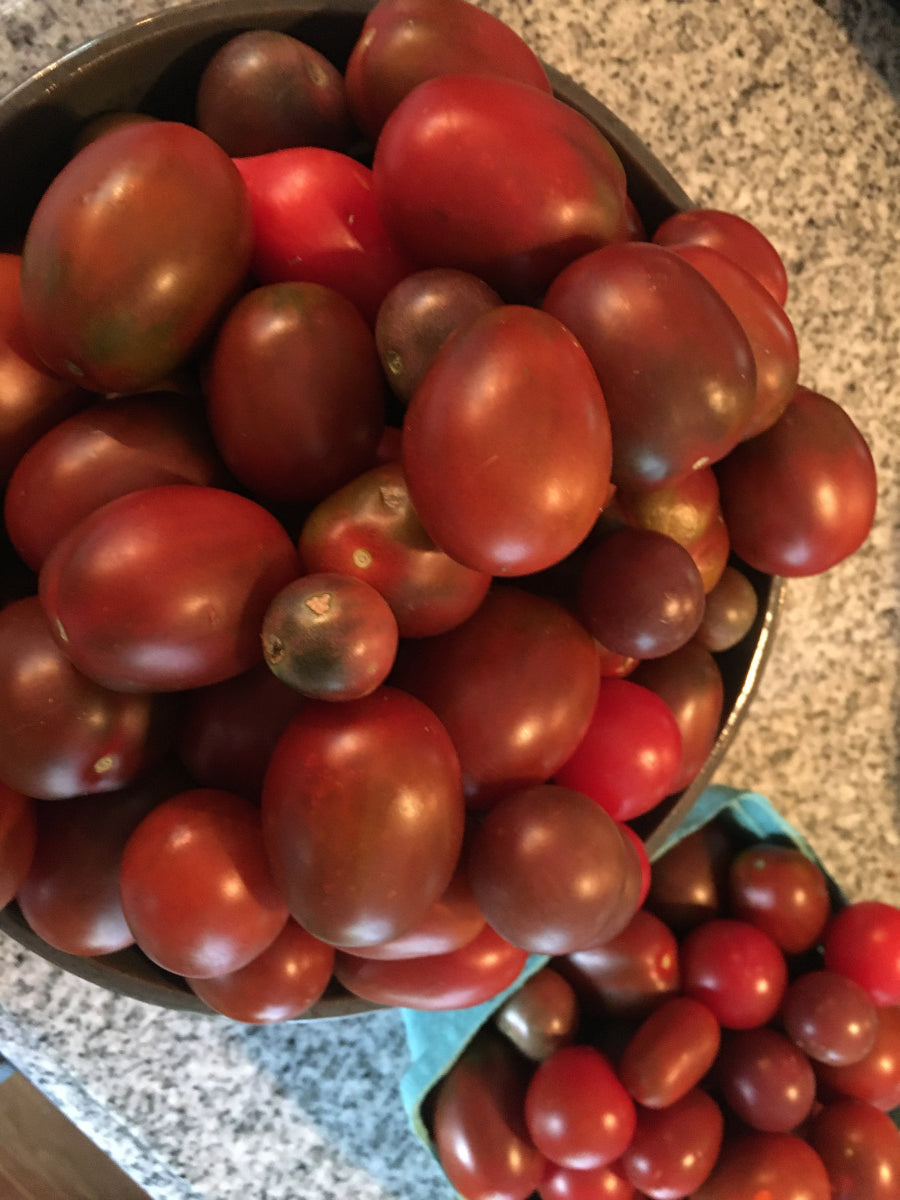 Plum Tomatoes - Mountain Prairie -- 1, 5, or 10 pounds