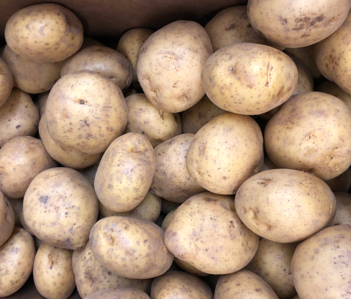 Beautiful Yellow Potatoes, Organic
