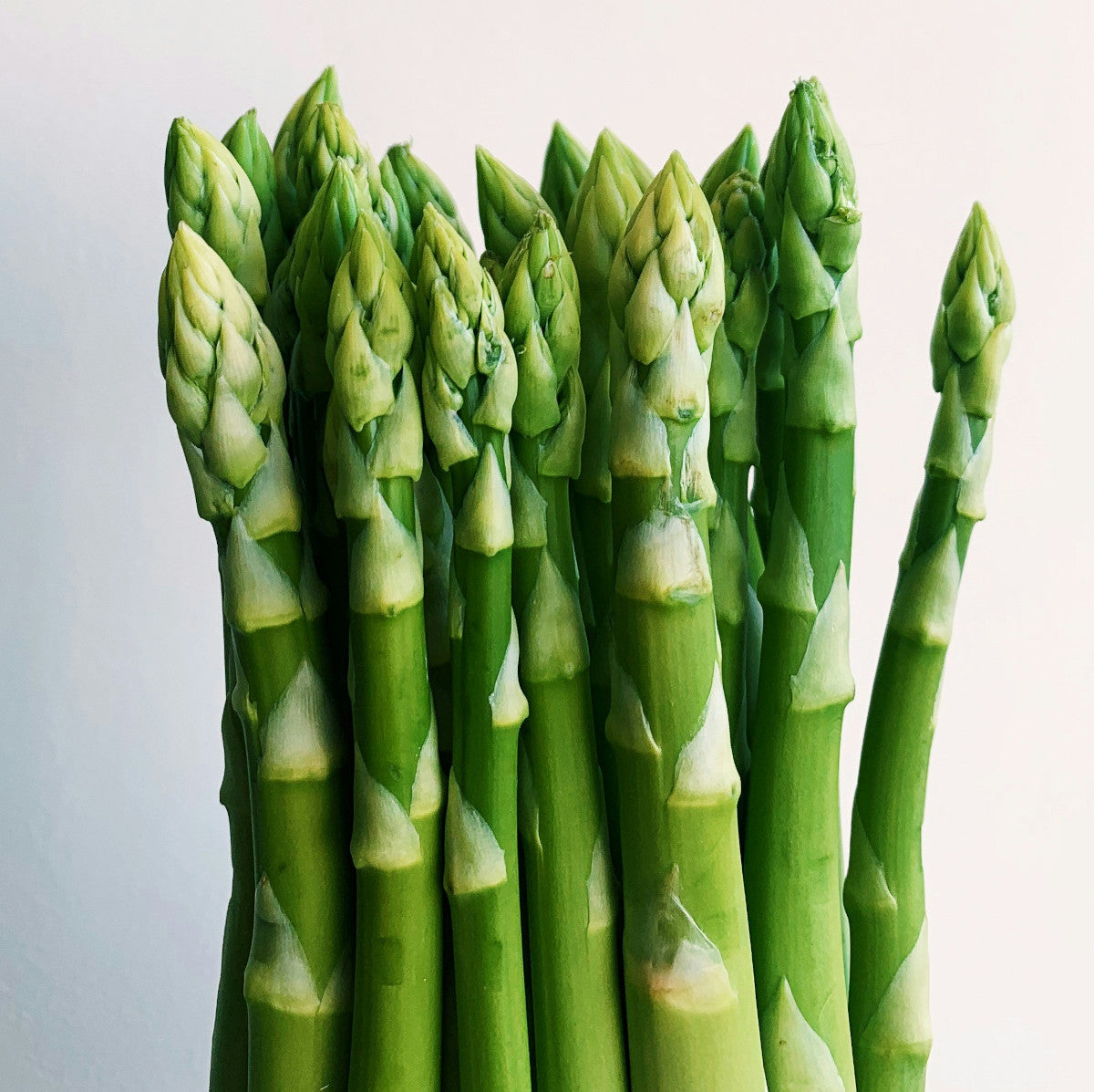 Fresh Colorado-grown Asparagus