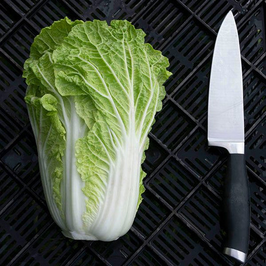 Napa Cabbage