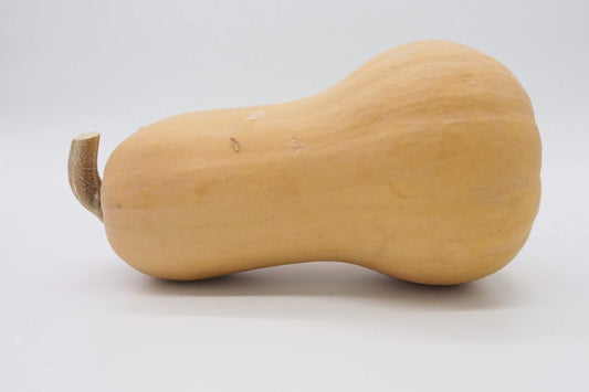 Butternut Squash