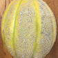 Cantaloupe from Wondrous Farm