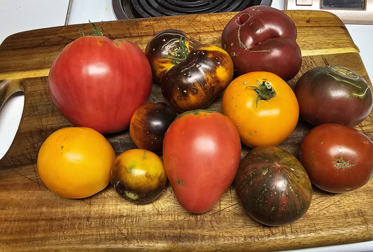 Tomatoes - field-grown, heirloom