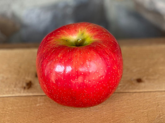 Organic Colorado Honeycrisp Apples, by the pound