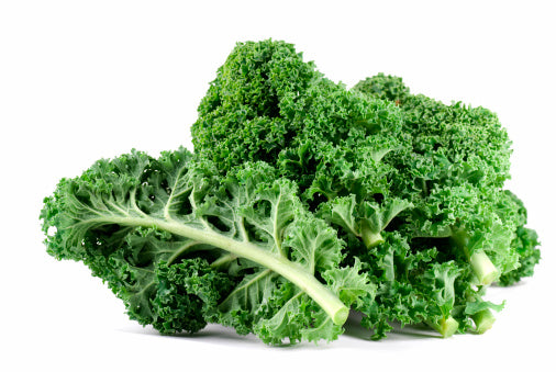 Fresh Kale from Rough&Ready Farm