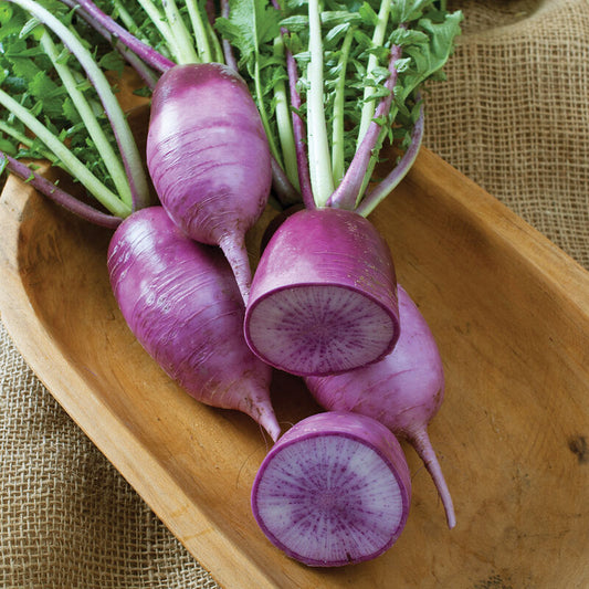 Hot Pink Hakurai Turnips