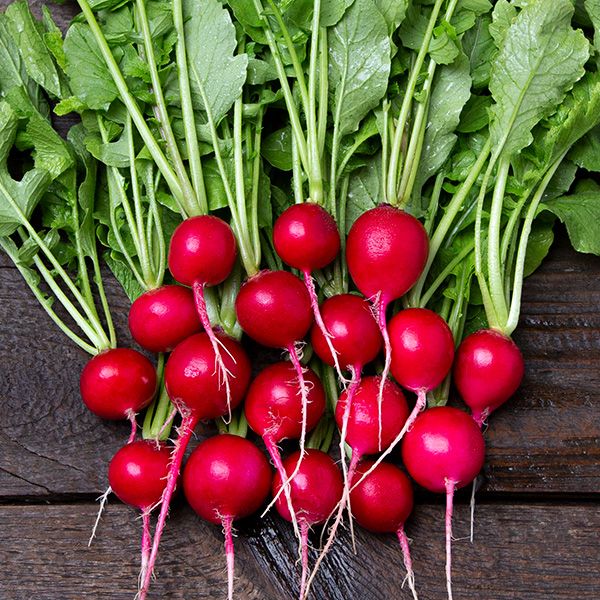 Purple Radishes