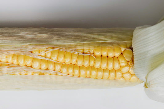 Sweet Corn by the ear