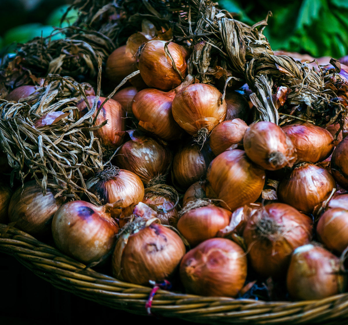 Yellow onions