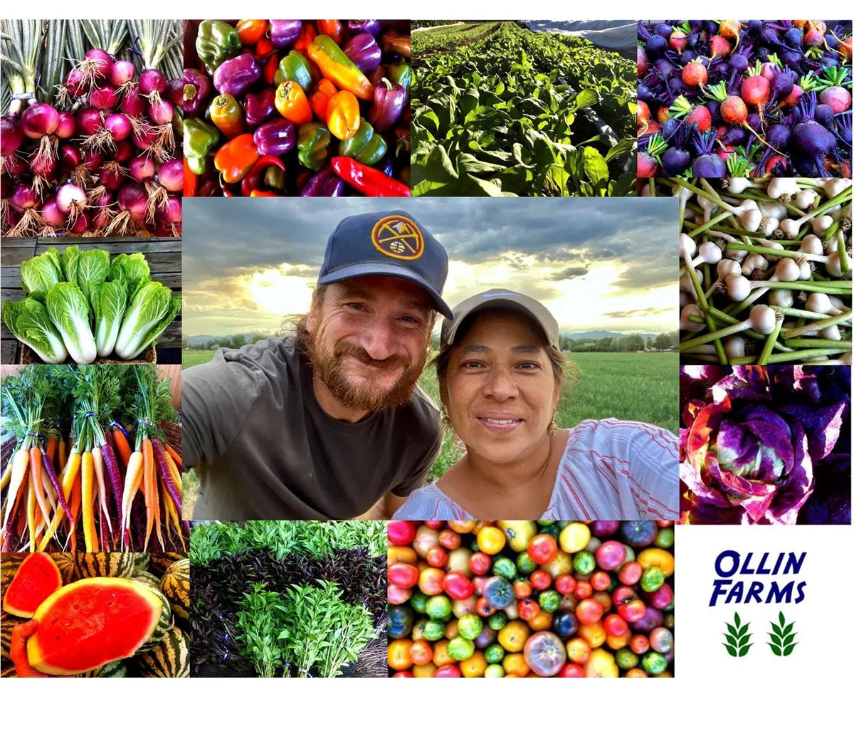 CSA: Ollin Farms Share (Small) -- 21 Weeks of Better Than Organic Veggies